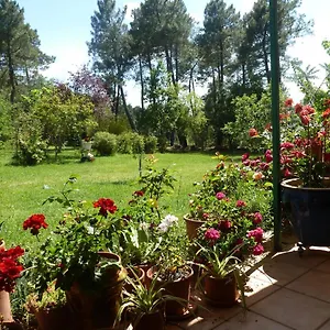 Domaine Du Planas - Patio Ailhon